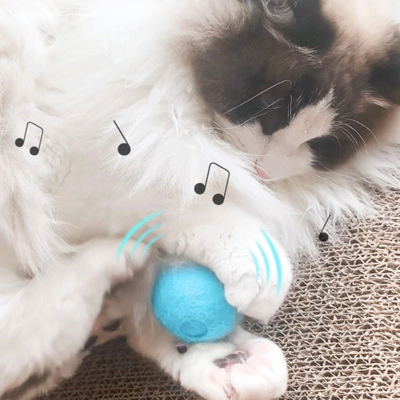 Musical Plush Pet Toy Ball