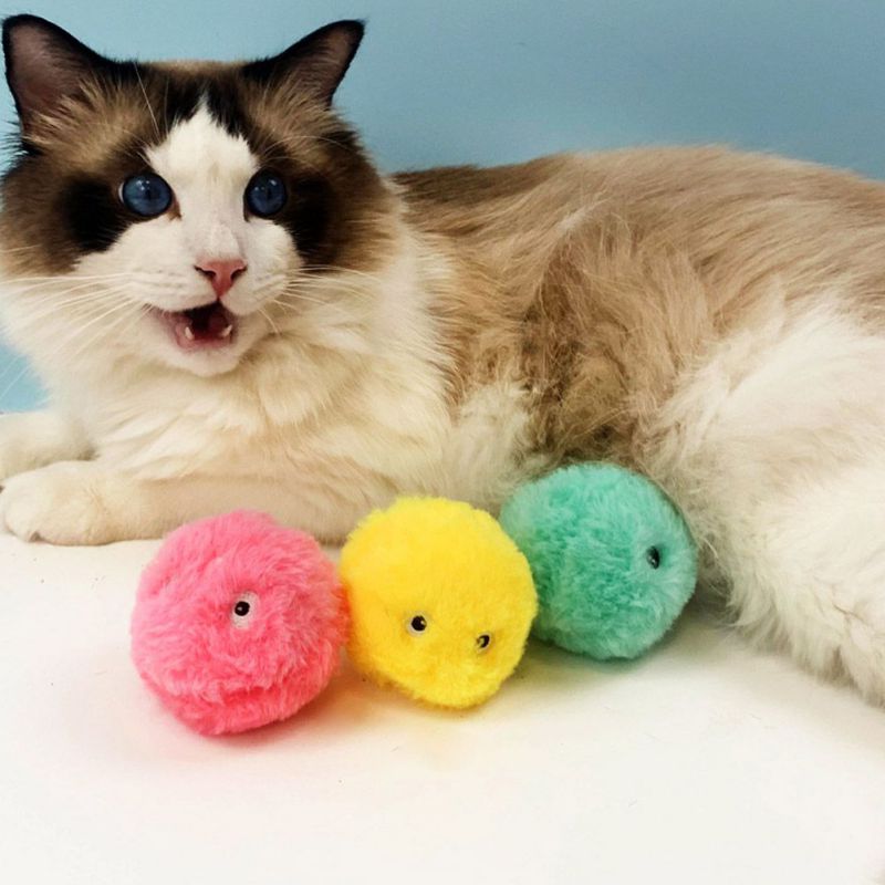 Musical Plush Pet Toy Ball