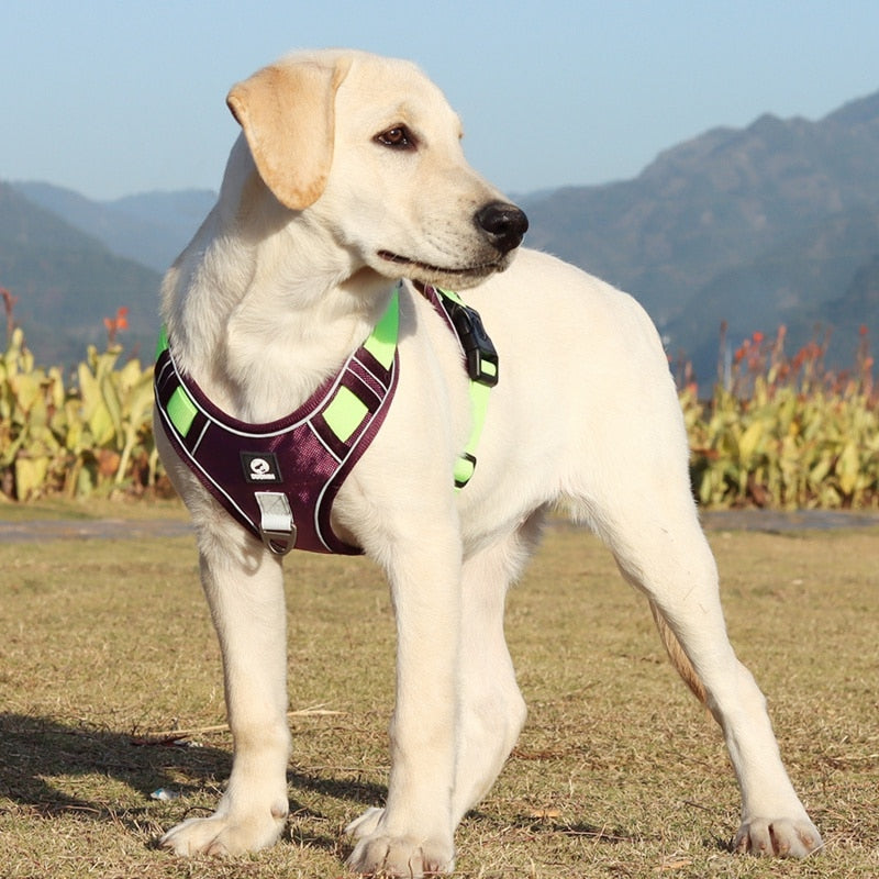 Heavy Duty Reflective Dog Harness