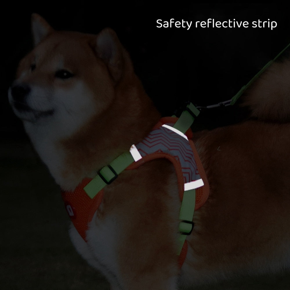 Orange No-Pull Reflective Dog Harness and Leash Set