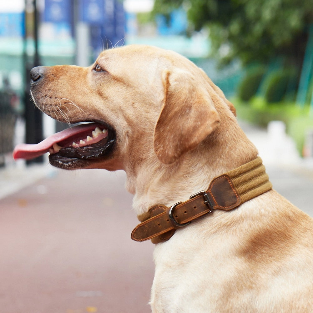 Adjustable Tactical Leather Dog Collar