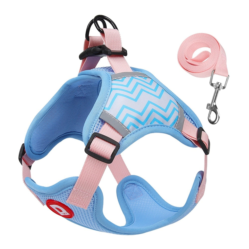 Blue No Pull Reflective Dog Harness and Leash Set