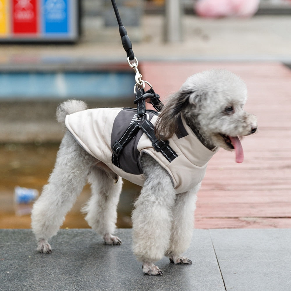 Blue Lined Pet Vest With Harness & Leash