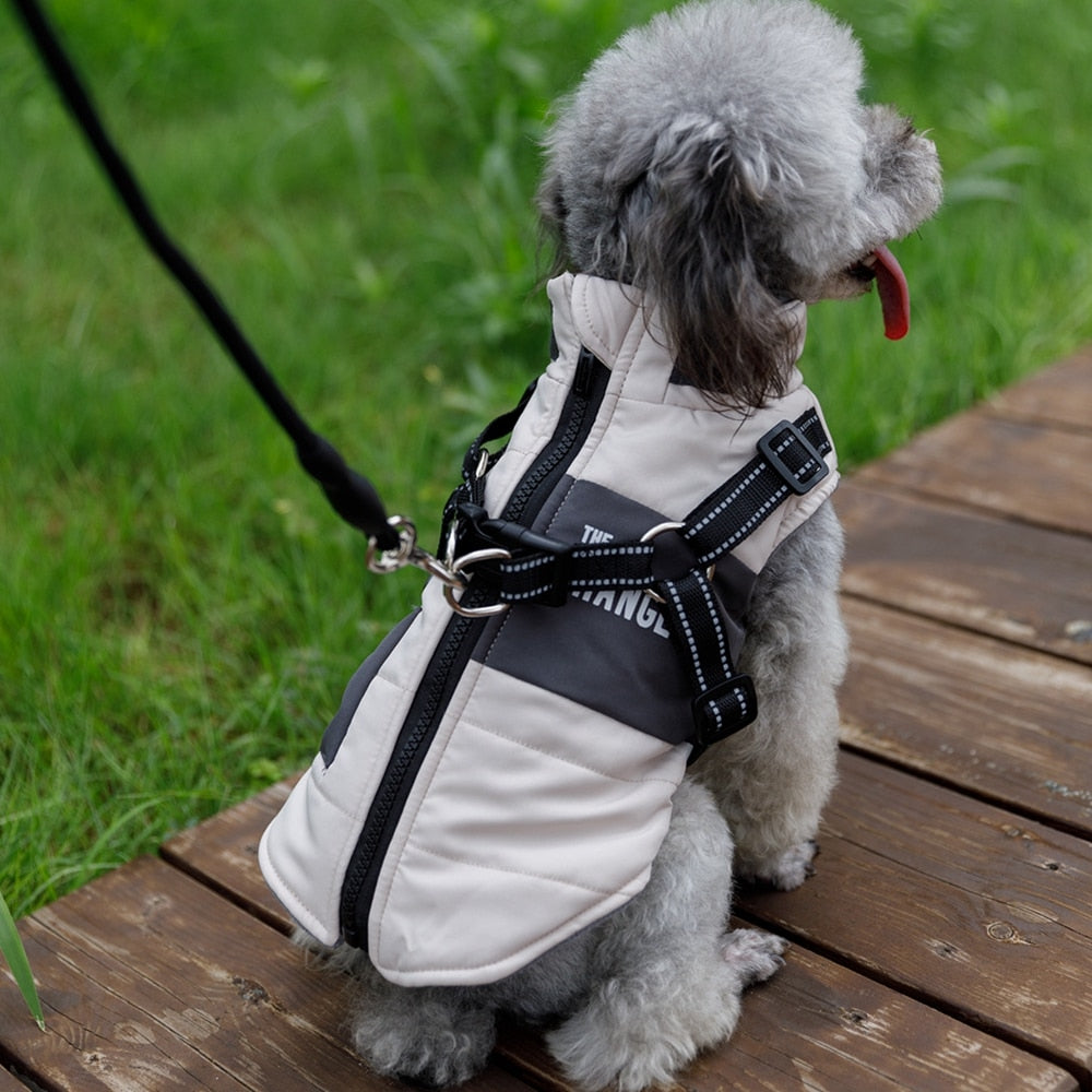 Pink Lined Pet Vest With Harness & Leash