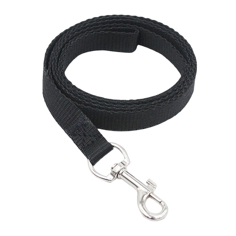 4ft Nylon Dog Leash