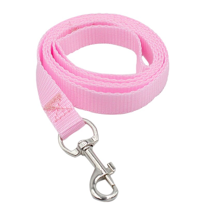 4ft Nylon Dog Leash