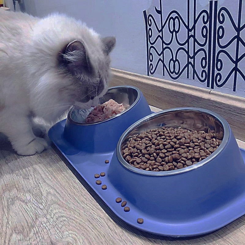 Blue Tilted Double Pet Bowls