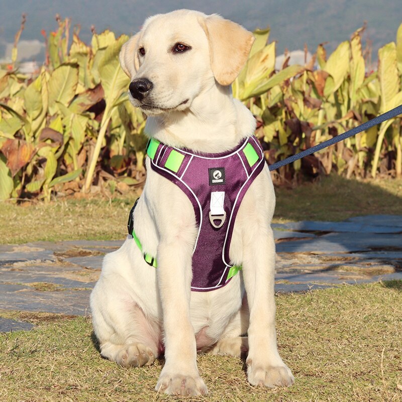 Heavy Duty Reflective Dog Harness