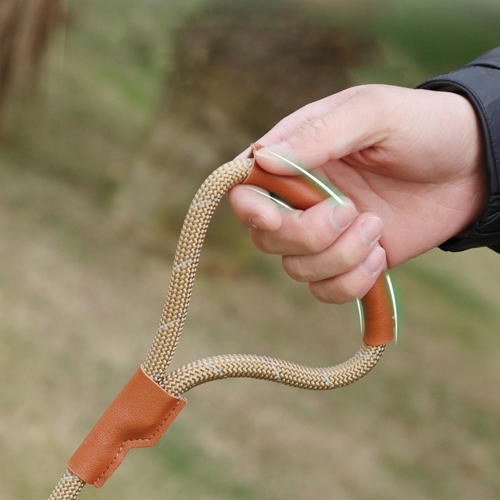 Gray Heavy Duty Nylon Rope Dog Leash