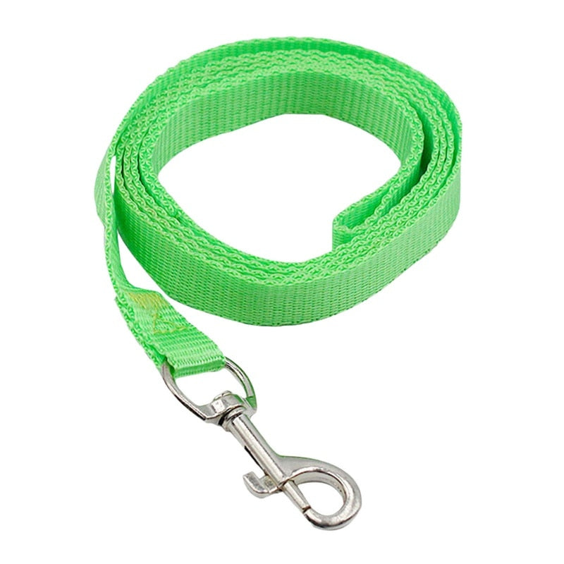 4ft Nylon Dog Leash