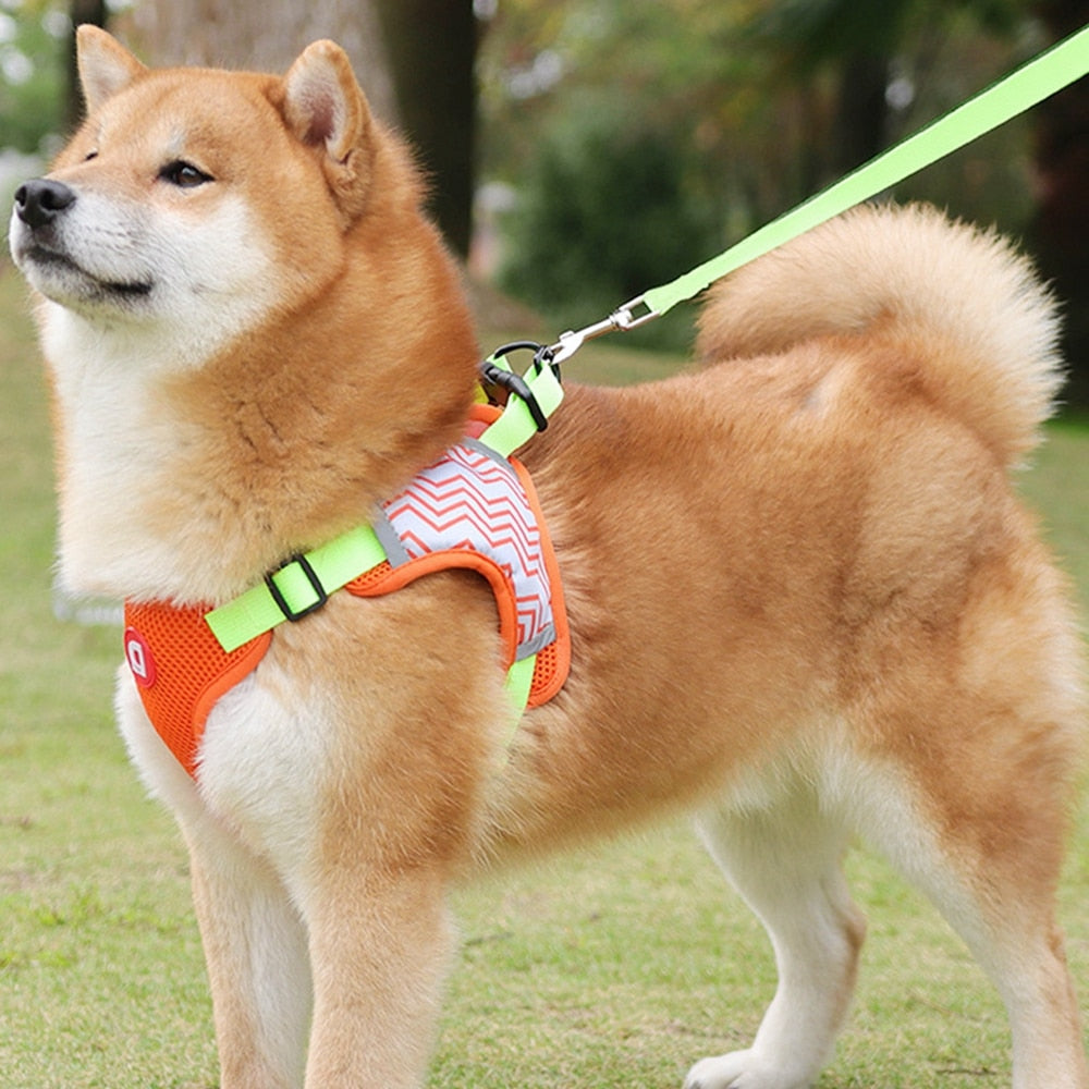 Brown No-Pull Reflective Dog Harness and Leash Set