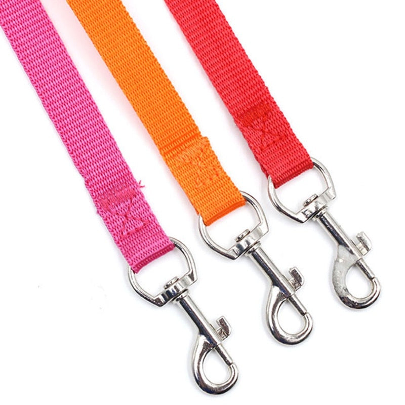 4ft Nylon Dog Leash