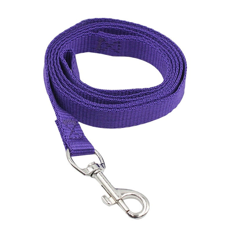 4ft Nylon Dog Leash