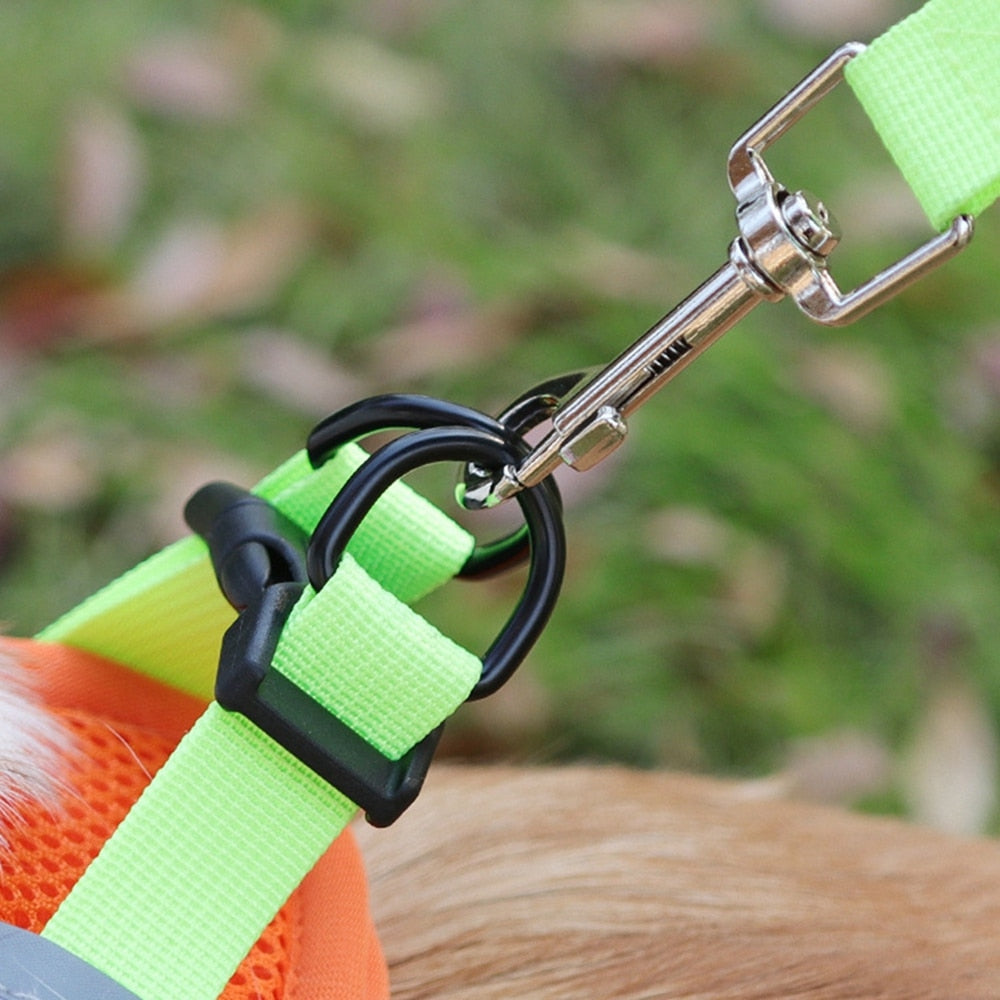 Orange No-Pull Reflective Dog Harness and Leash Set