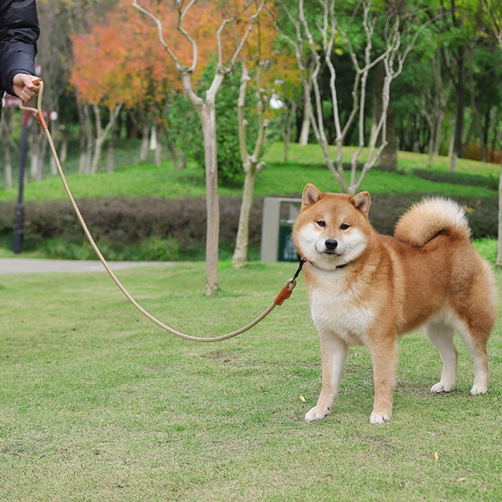 Orange Heavy Duty Nylon Rope Dog Leash