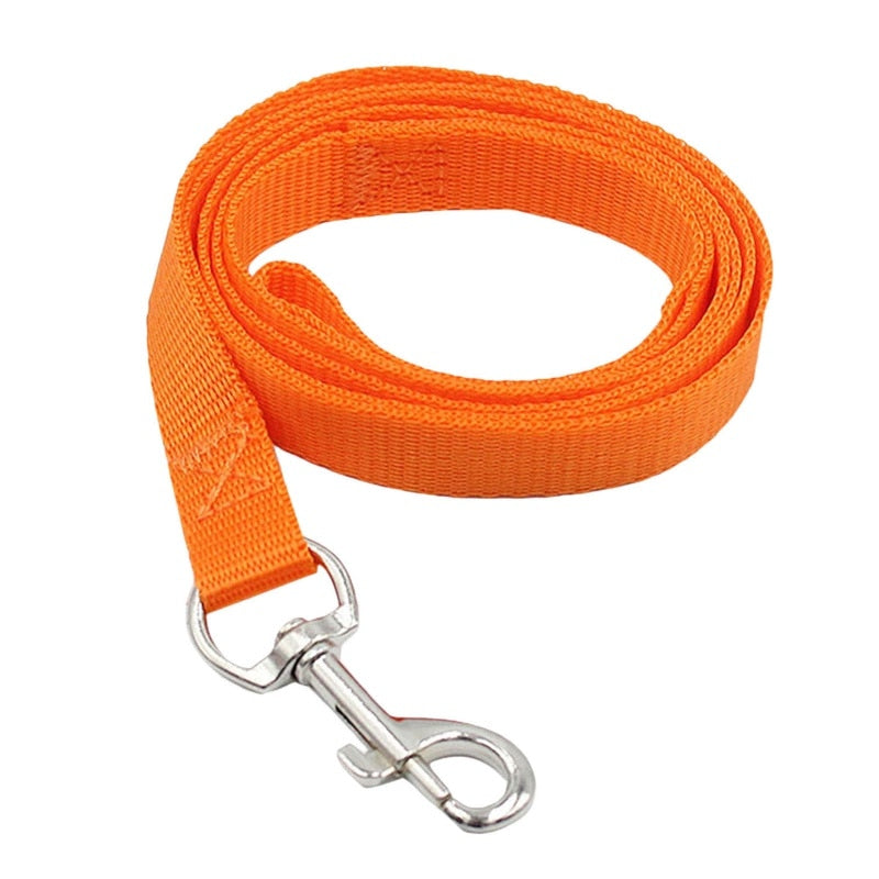 4ft Nylon Dog Leash