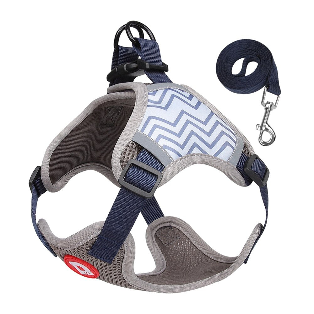 Blue No Pull Reflective Dog Harness and Leash Set