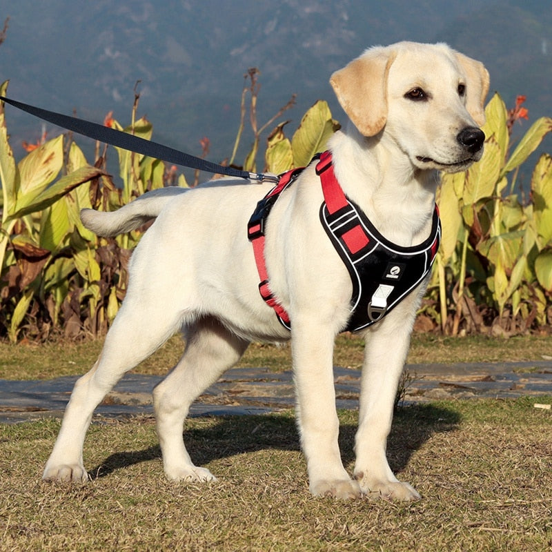 Heavy Duty Reflective Dog Harness